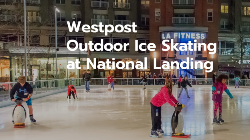 Screenshot 2024 12 12 122041